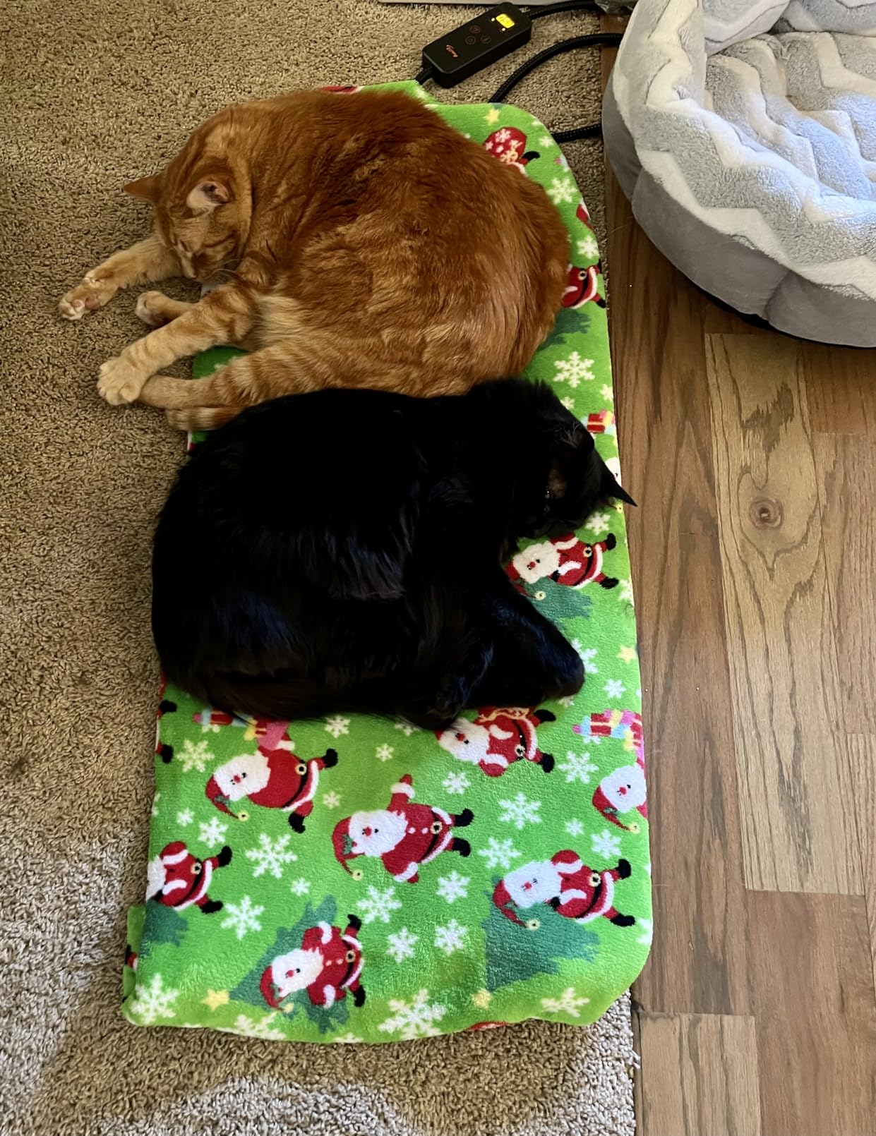 Toozey XL Pet Heating Pad, Large Dog Heated Mat, 47 x 28 in, Waterproof customer photo 1