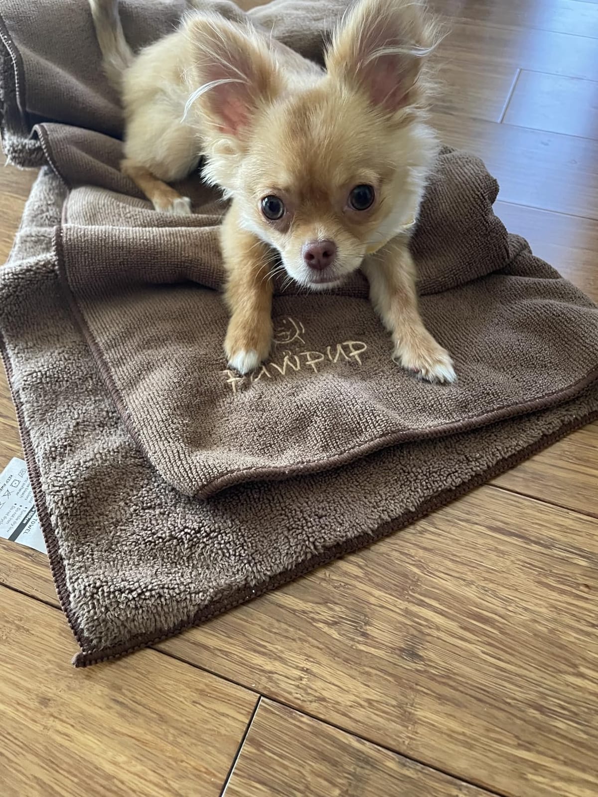 Dog Towels for Drying Dogs Super Absorbent Microfiber Pet Grooming Towel for Dogs, Cats and Other Pets (40 x 24 Inches, Brown and Grey) customer photo 1