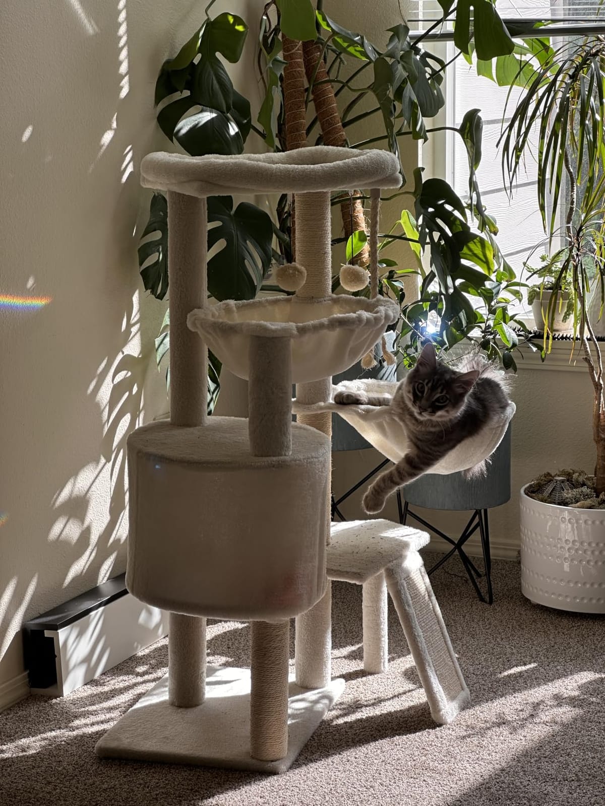 Three Layer Cat Tree with Cat Condo and Two Hammocks,Grey customer photo 1
