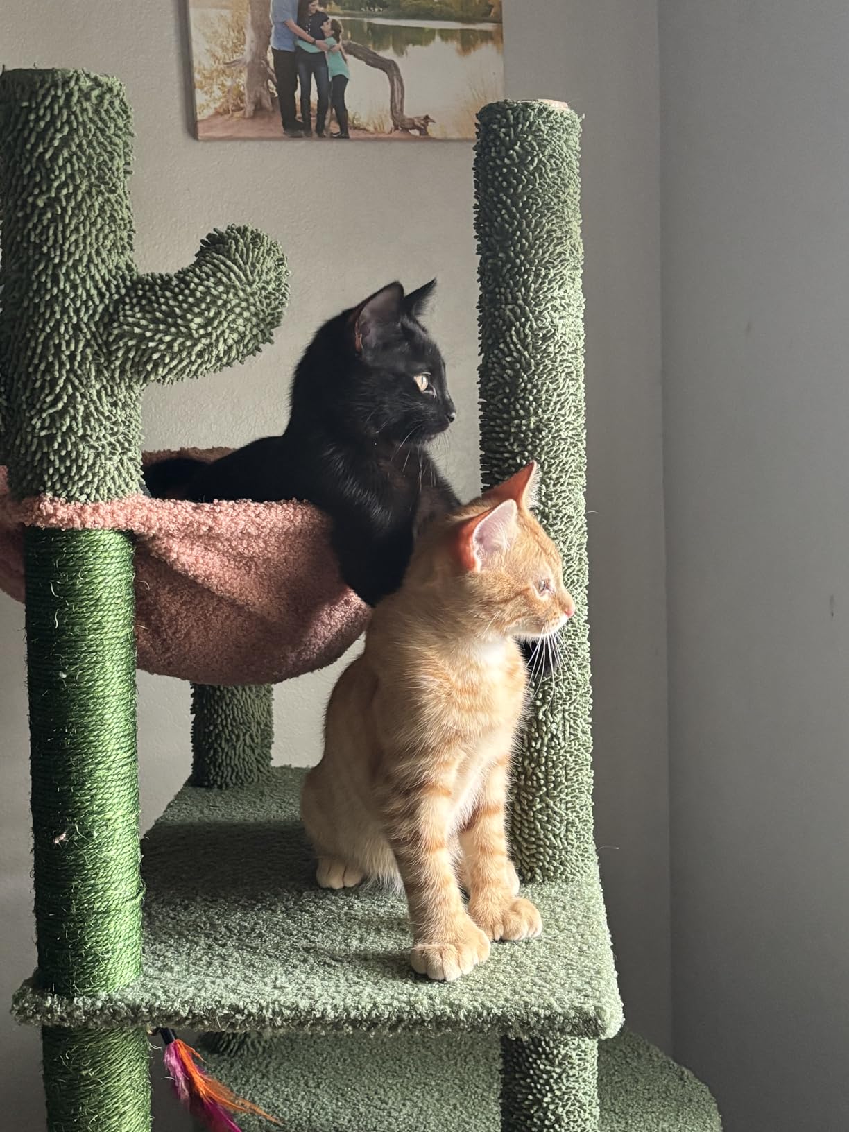Three Layer Cat Tree with Cat Condo and Two Hammocks,Grey customer photo 2