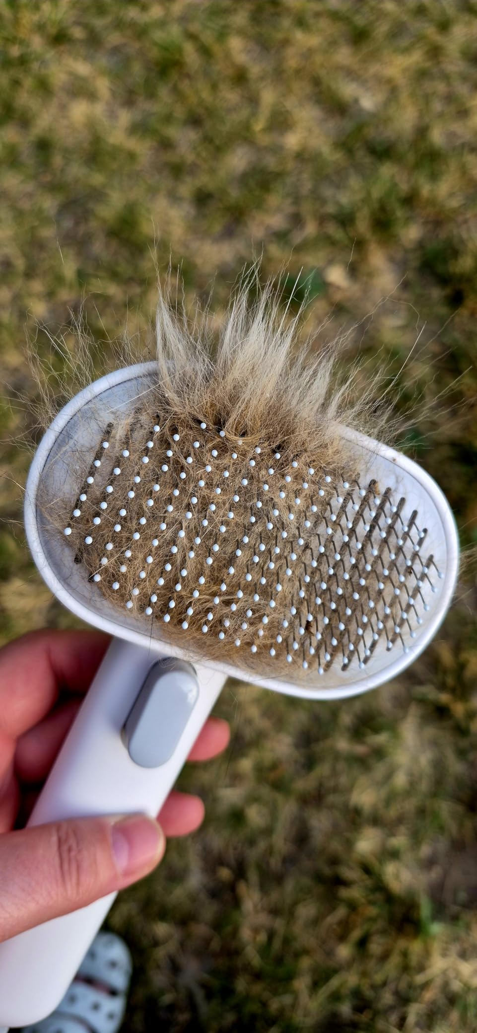 Aumuca Cat Brush for Shedding, Cat Brushes for Indoor Cats, Cat Brush for Long or Short Haired Cats, Cat Grooming Brush Cat Comb for Kitten Rabbit Massage Removes Loose Fur customer photo 1