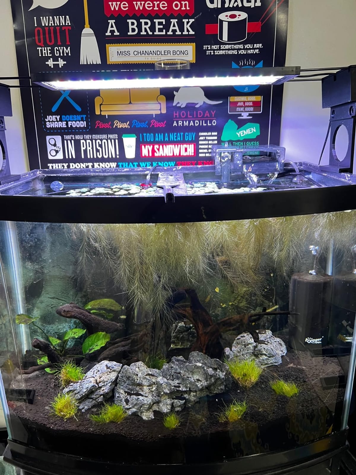 hygger Auto On Off LED Aquarium Light, Full Spectrum Fish Tank Light with LCD Monitor, 24/7 Lighting Cycle, 7 Colors, Adjustable Timer, IP68 Waterproof, 3 Modes for 12
