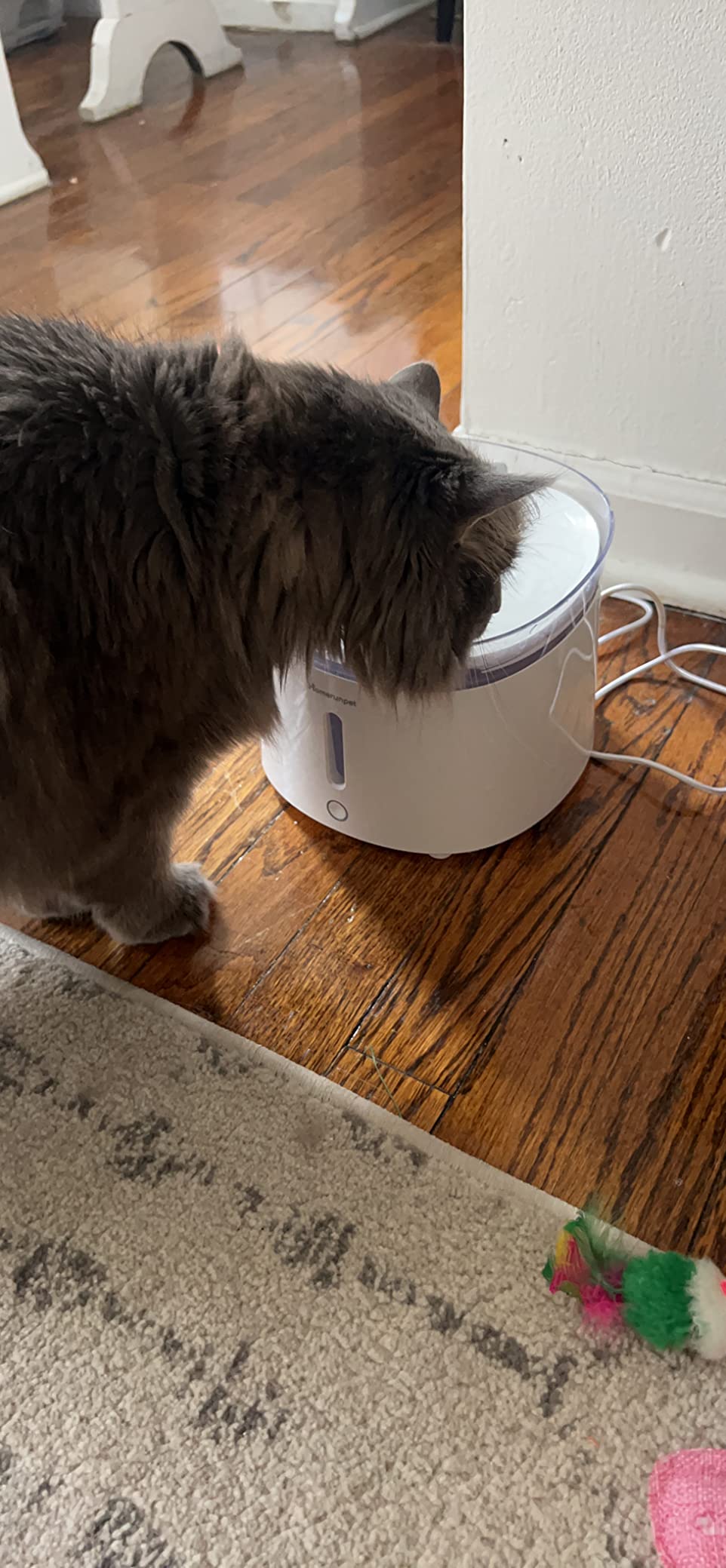 HomeRunPet Silent Cat Water Fountain, 68 oz/2L, Pet Fountain Wireless Pump, Dog Water Dispenser, Dual Mode, Quick Assembly & Easy-Clean, Filters Included customer photo 1