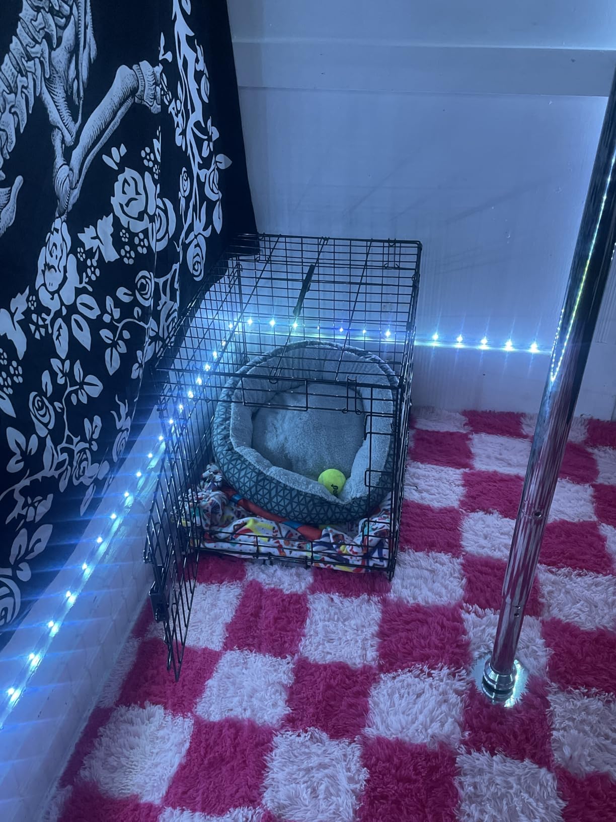 Amazon Basics Portable, Foldable Metal Wire Small Dog Crate with Removable Tray, Divider Panel, Single Door, Easy to Assemble, 24
