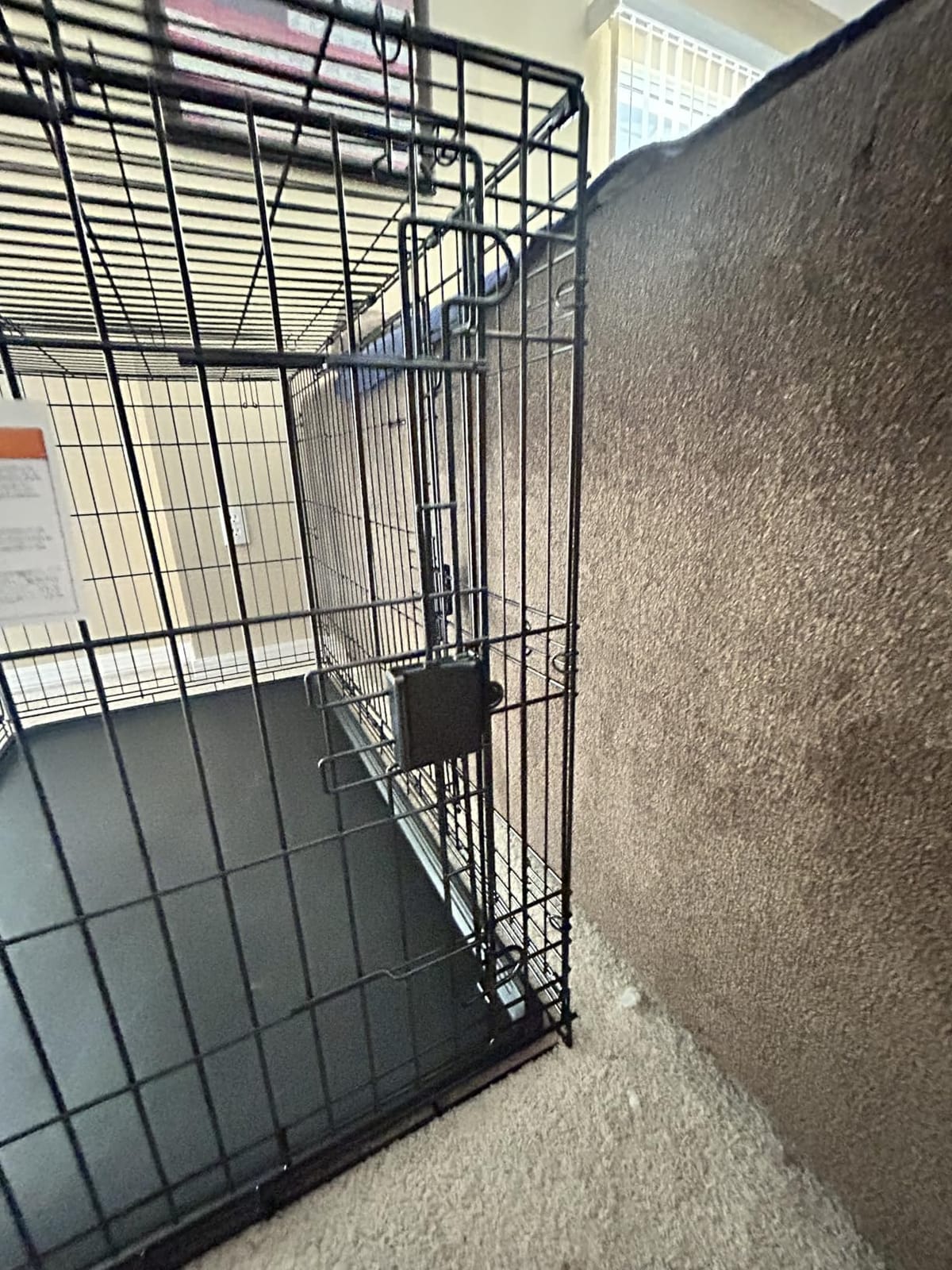 Amazon Basics Portable, Foldable Metal Wire Dog Crate with Removable Tray, Double Door, Divider Panel, 24