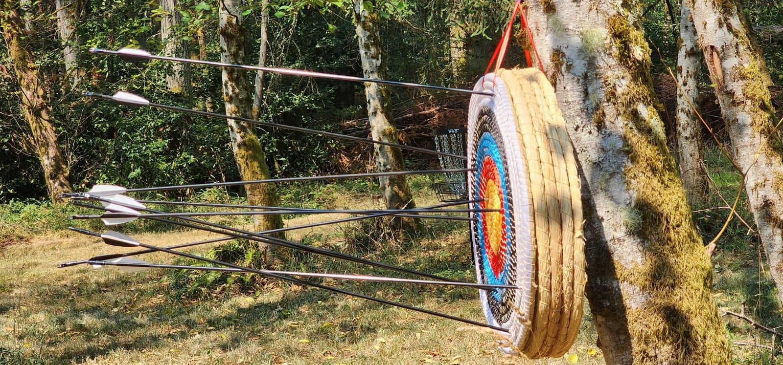 Archery Target - Backyard Straw Archery Target for Recurve Compound or Longbow - 20 Inch Traditional Bow Arrow Target for Kids Youth Adult Archery Hunting Practice customer photo 1