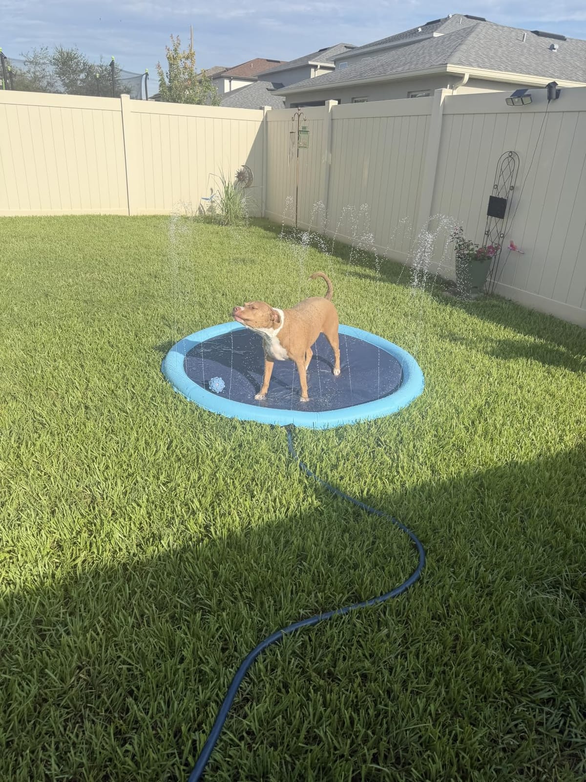 Raxurt Non-Slip Splash Pad for Kids and Dog, 67'' Splash Pad Thicken 0.58mm for Kids Ages 4-8 Toddler Baby Splash Sprinkler Pad Dog Pool Summer Outdoor Water Toys for Boys Girls customer photo 1