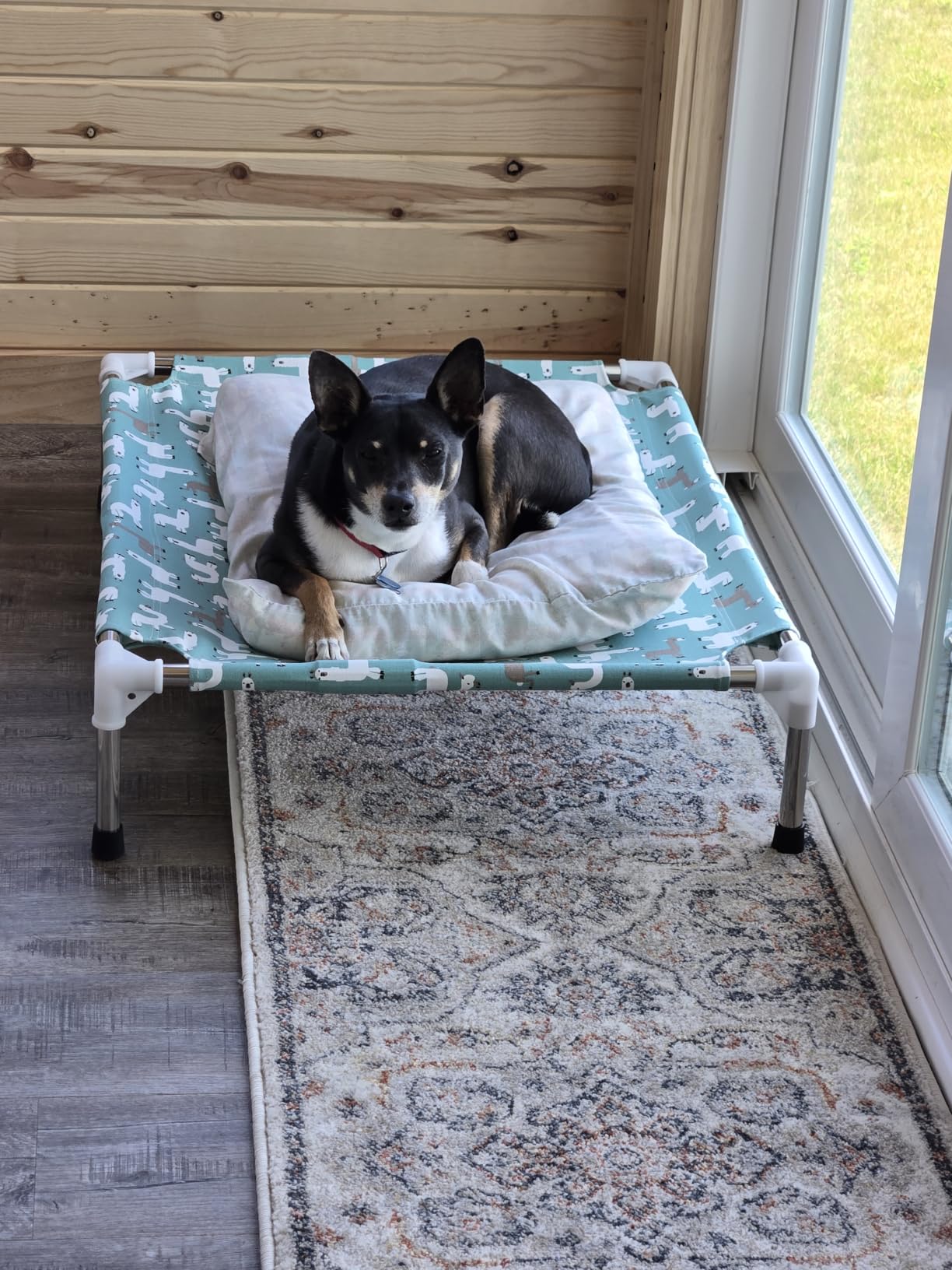 Elevated Dog Bed Pet cot for Small Dogs, Indoor and Outdoor Use customer photo 2