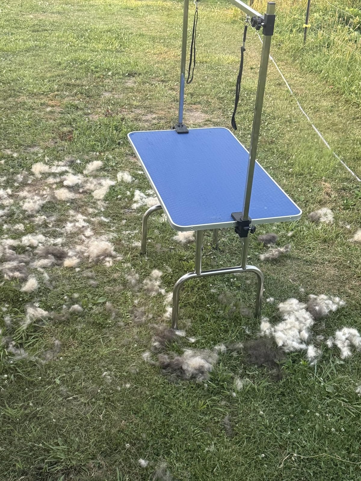 SoarFlash Pet Dog Grooming Table Foldable,Heavy Duty Foldable Pet Grooming Table with Arm & Noose & Mesh Tray, Maximum Capacity Up to 330lbs, 36inch, Blue customer photo 1