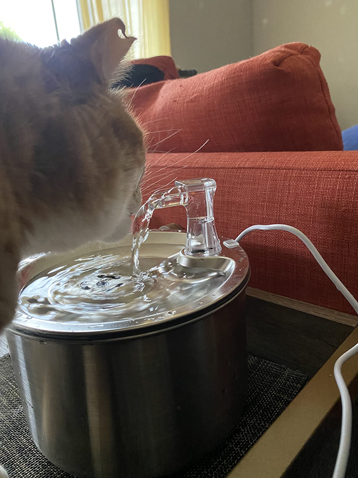 Homtyler Cat Water Fountain, Stainless Steel Inside Ultra-Quiet Pump, 2L/67oz Automatic Dog Dispenser Water Bowl, Multiple Pets Water Fountain customer photo 1