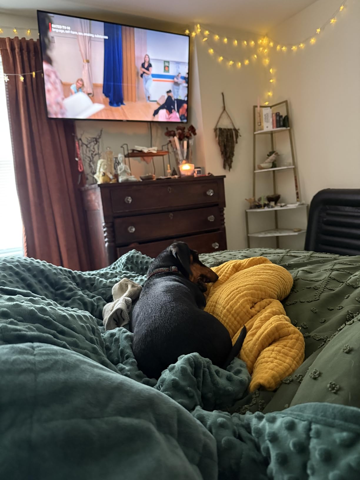 Alomidds Weighted Blanket (60