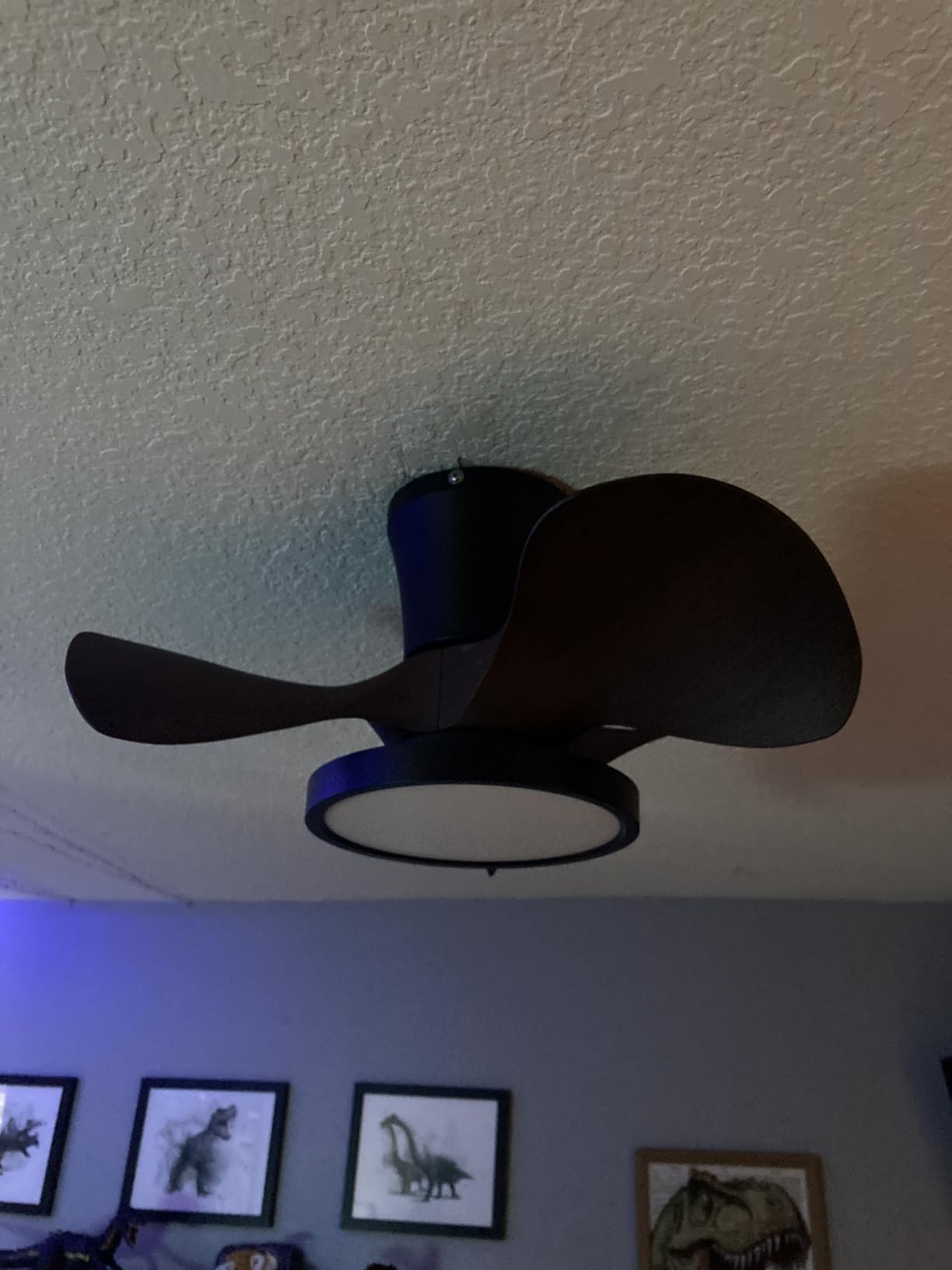 ocioc Quiet Ceiling Fan with LED Light 22 inch Large Air Volume Remote Control for Kitchen Bedroom Dining Room Patio customer photo 2