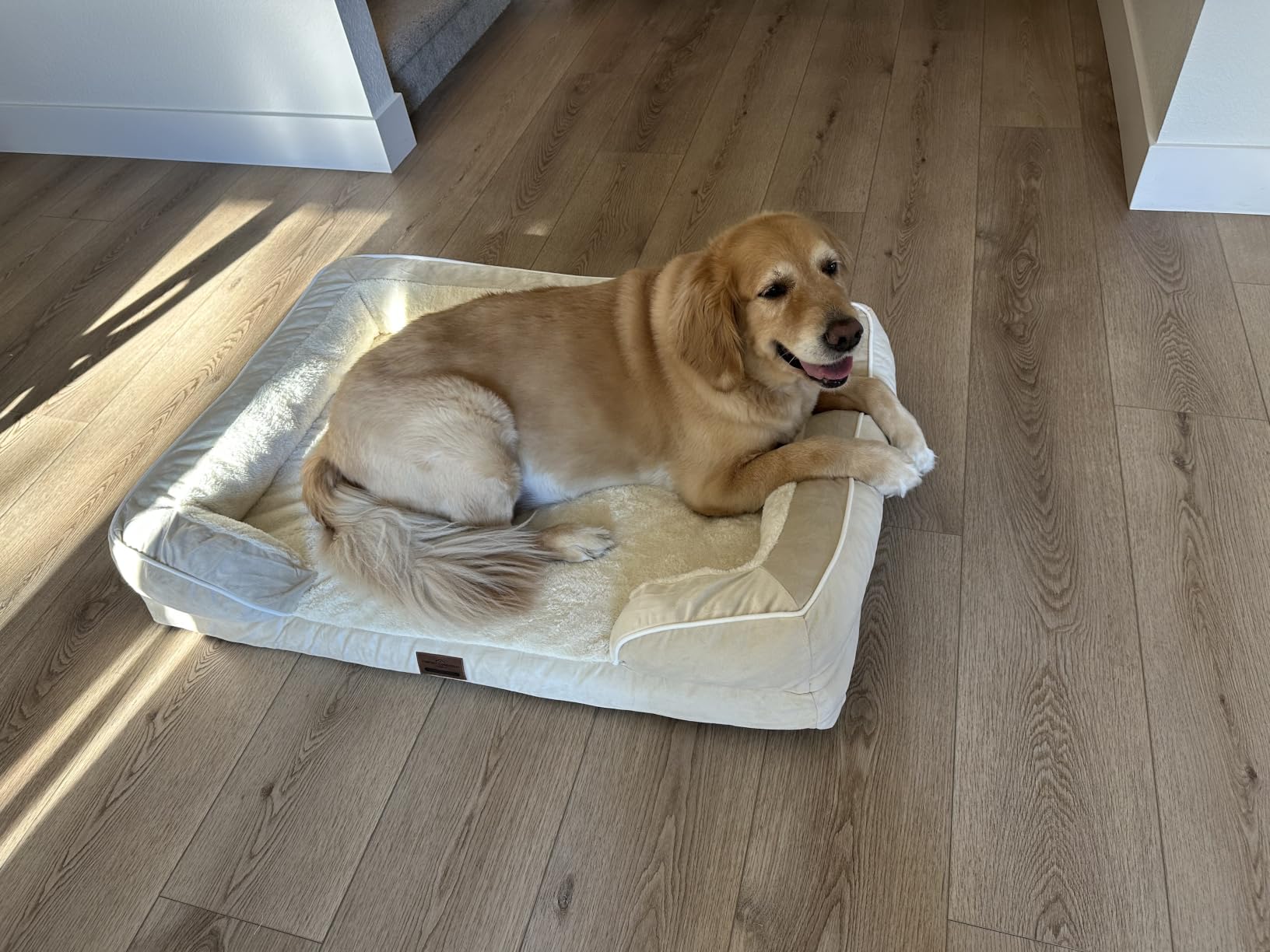 Comfort Expression Waterproof Orthopedic Dog Bed for Extra Large Dogs customer photo 1