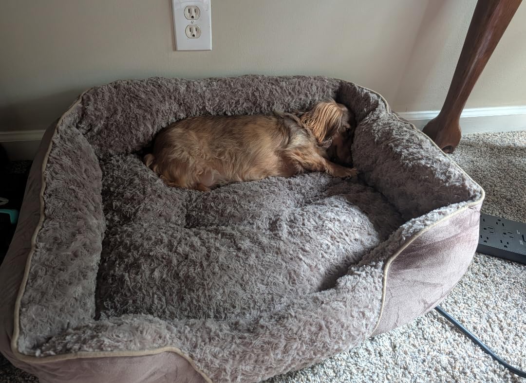INVENHO Rectangle Washable Orthopedic Dog Bed for Small, Medium and Large Dogs, Soft Calming, Sleeping Puppy Bed Durable Pet Cuddler with Anti-Slip Bottom, S (20