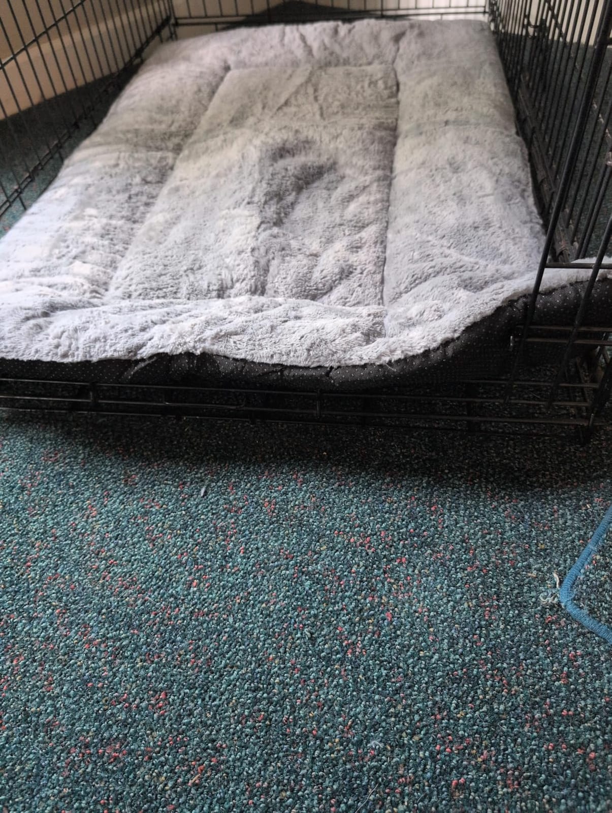 Dog Crate Pad Washable Dog Bed for Crate Medium Cozy Mat 36-Inch Gray customer photo 2