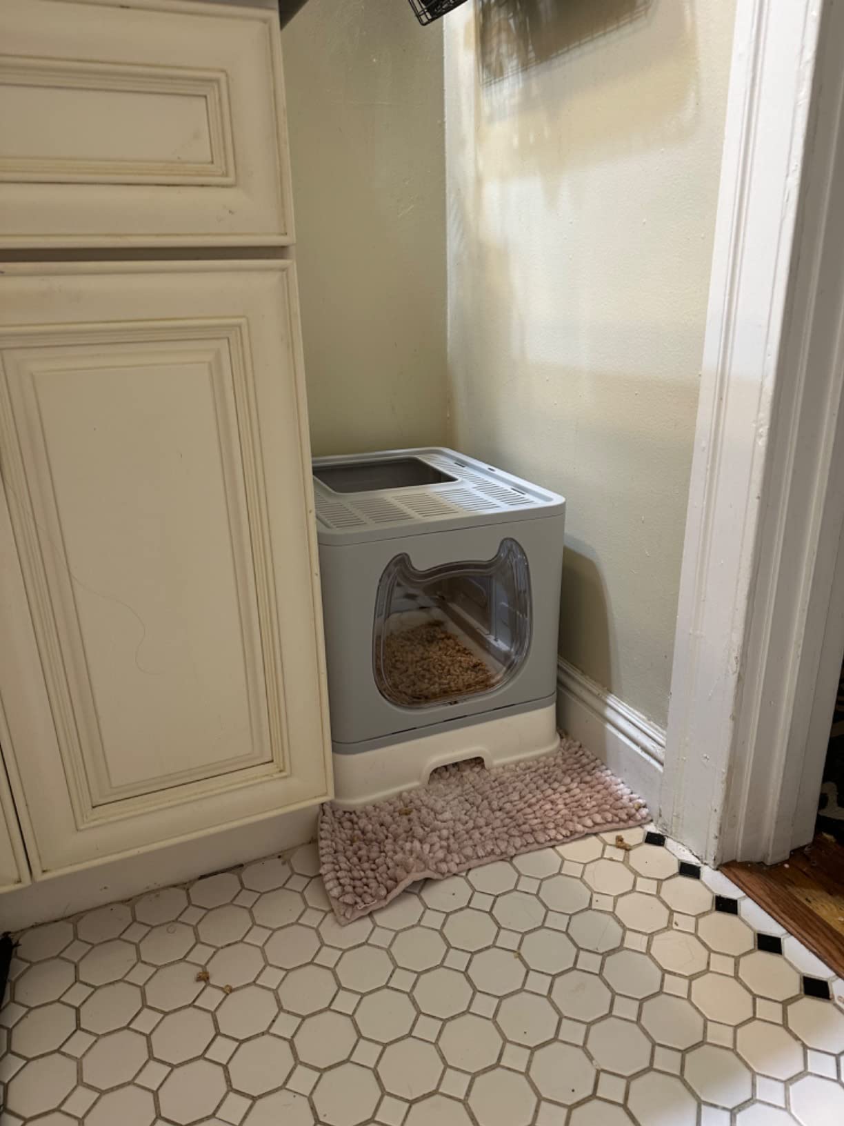 Cat Litter Box with Lid, Covered Top Entry Kitten Litter Pan for Small and Medium Cats, Anti-Splashing Kitty Potty with Slide-Out Litter Tray customer photo 1