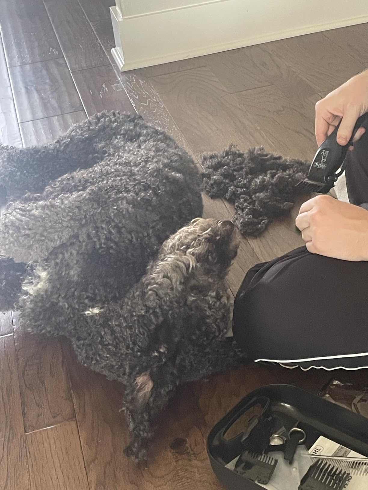Wahl Power Pro Lithium Ion Rechargeable Cordless Dog Grooming Clipper Kit customer photo 1