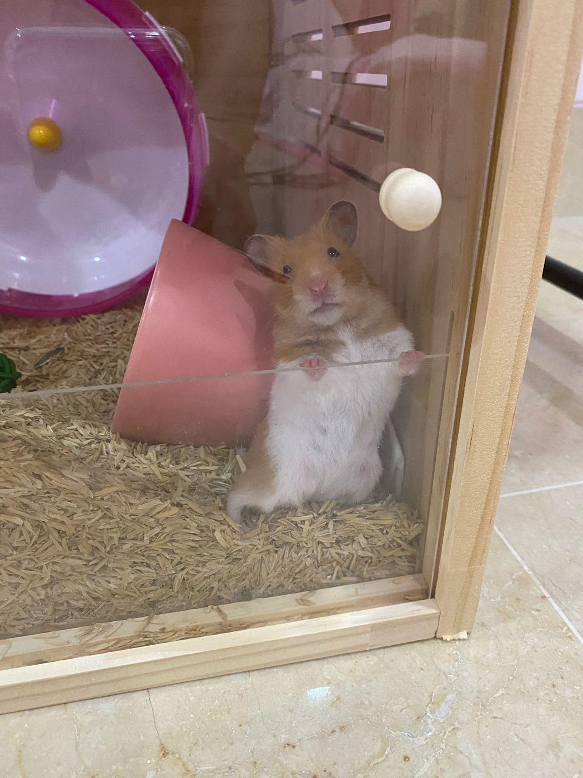 Wooden Hamster Cage,32