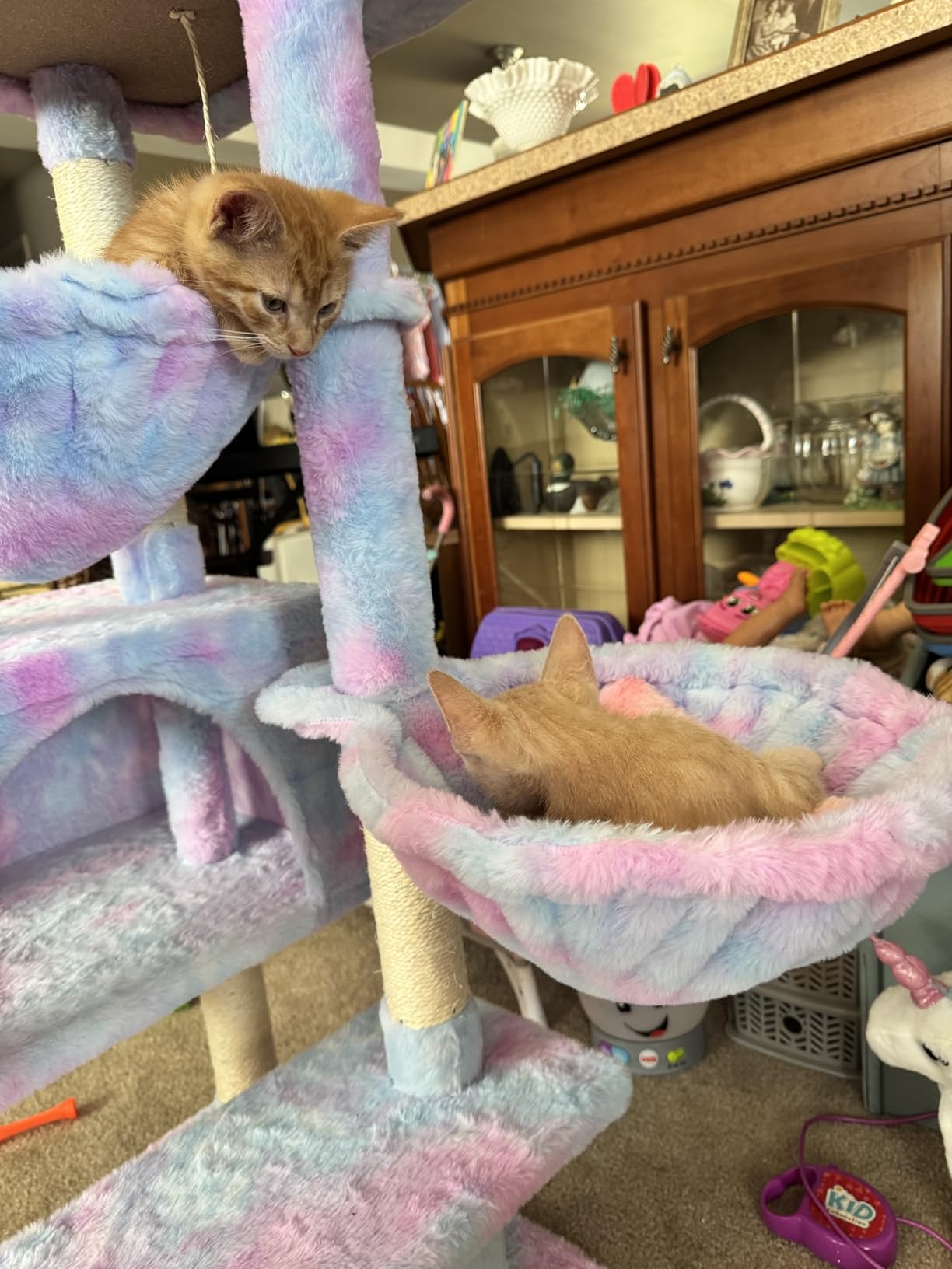 Cat Tree Cat Tower Condo Pet Activity Center Sisal Scratching Post customer photo 2