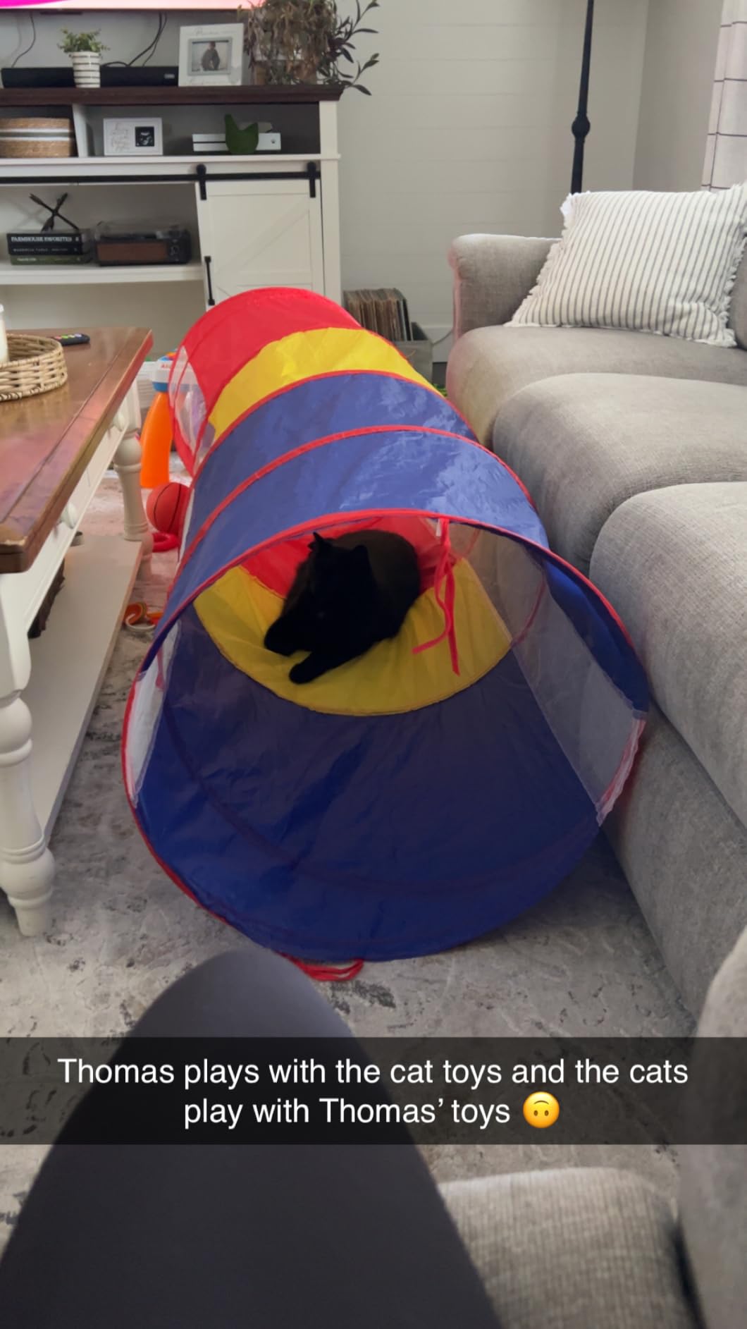 Playz Kids Play Tunnel Toys for Toddlers 1-3, Large 21