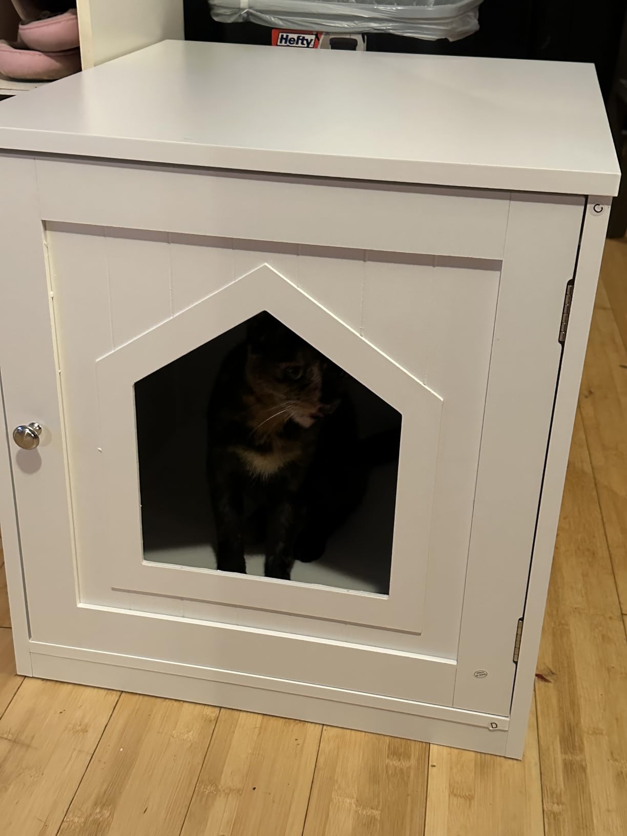 Cat Litter Box Enclosure Hidden Kitty Litter Box Furniture Indoor Cat Box Cabinet House Side Table Nightstand Washroom (Black) customer photo 1