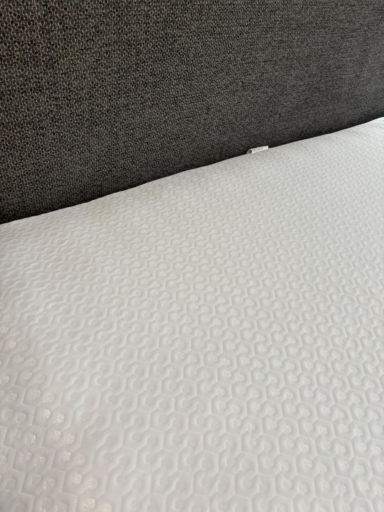 AllerEase Platinum Zip-Off Top Waterproof Mattress Protector Queen customer photo 1