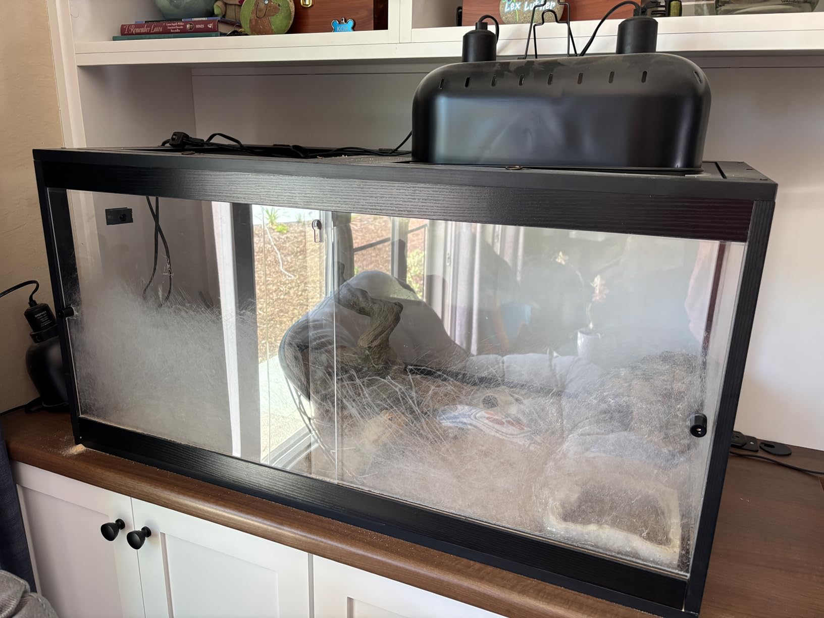 Prolee 81 Gallon Reptile Terrarium Tank 48 Inch Lizard Tank Bearded Dragon Tank with Metal Mesh Roof Door, Snake Tank with Lock Design, 48