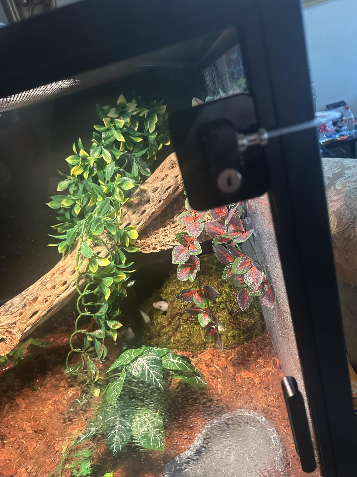 Phailozoo 120 Gallon Reptile Tank, Stackable 4x2x2 Reptile Enclosure customer photo 2