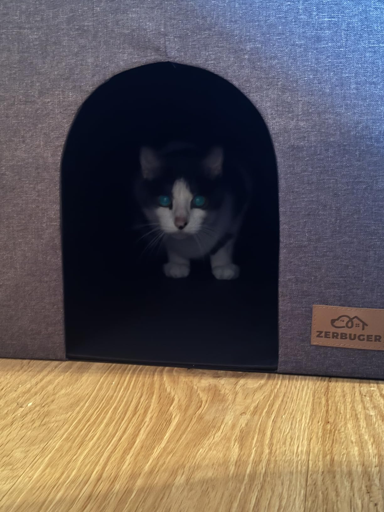 Zerbuger Cat Litter Box Enclosure Furniture for Odor Control customer photo 1