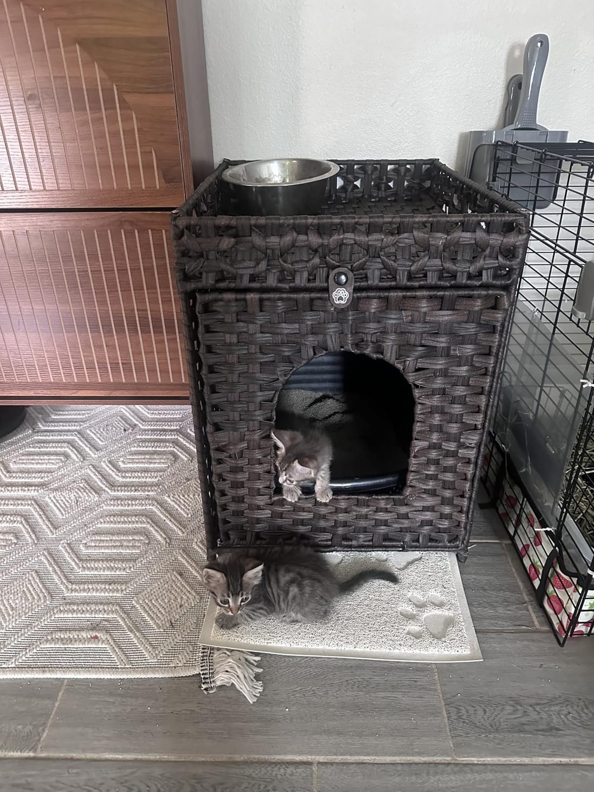Snughome Cat Litter Box Enclosure Furniture Hidden with Litter Mat, Hidden Cat Washroom Furniture with Door, Handwoven Rattan Cat Washroom Box, Indoor Pet House for Living Room, Bedroom (Brown) customer photo 2