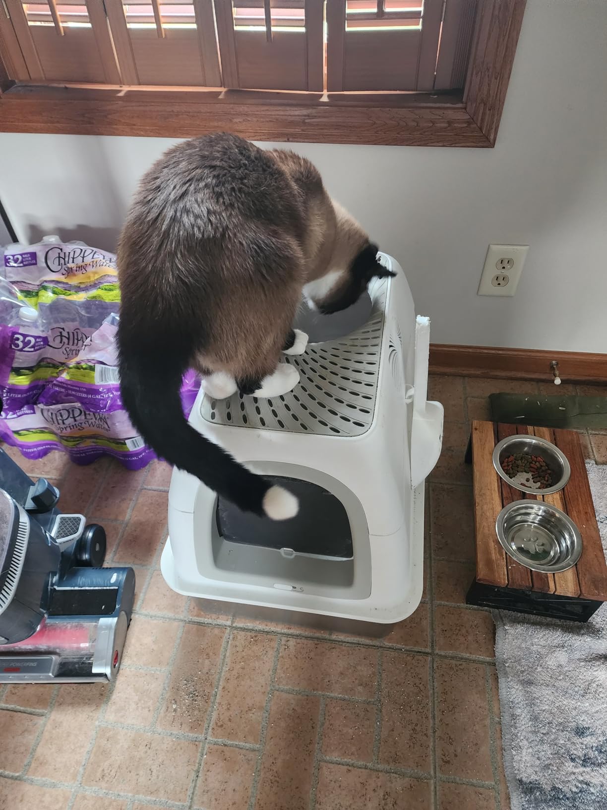 SuzziPaws Stainless Steel Litter Box Top-Entry Dog-Proof for Multi-Cats customer photo 2