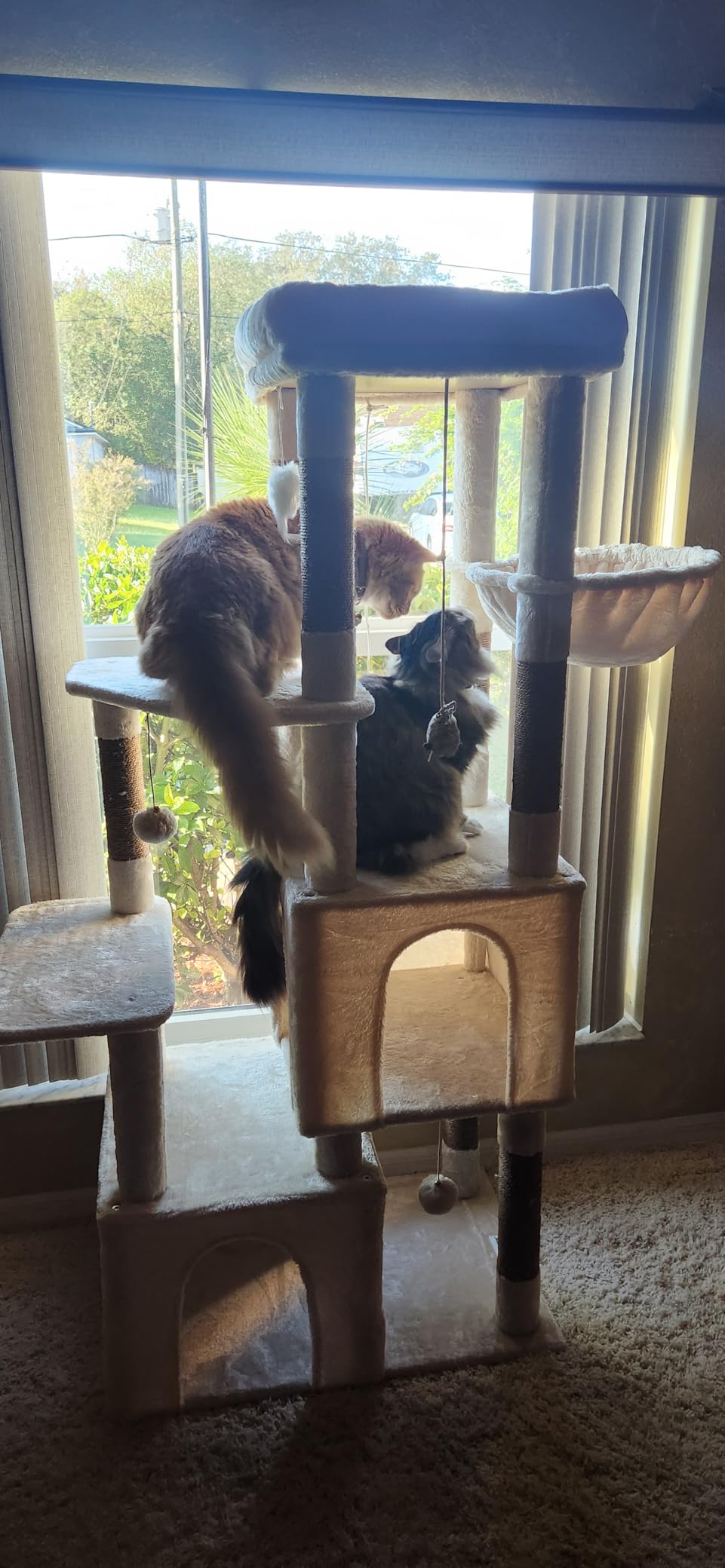 Globlazer Heavy Duty Cat Trees for Big Cats Maine Coon, F61, Dark Grey customer photo 1