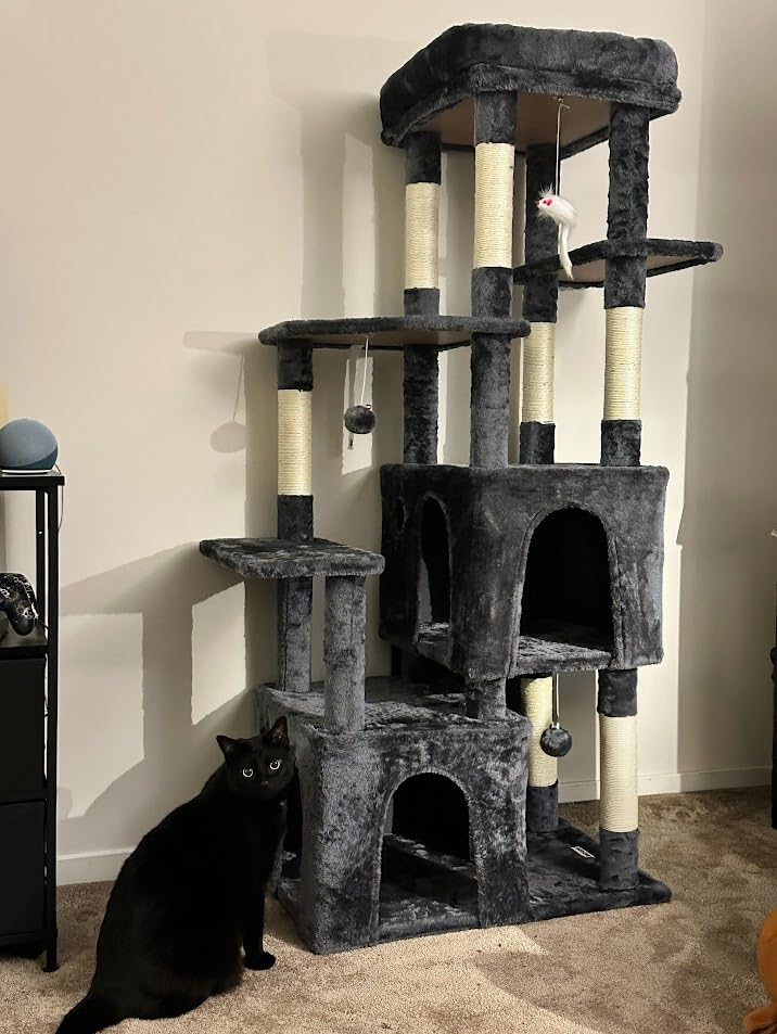 Globlazer Heavy Duty Cat Trees for Big Cats Maine Coon, F61, Light Grey customer photo 2