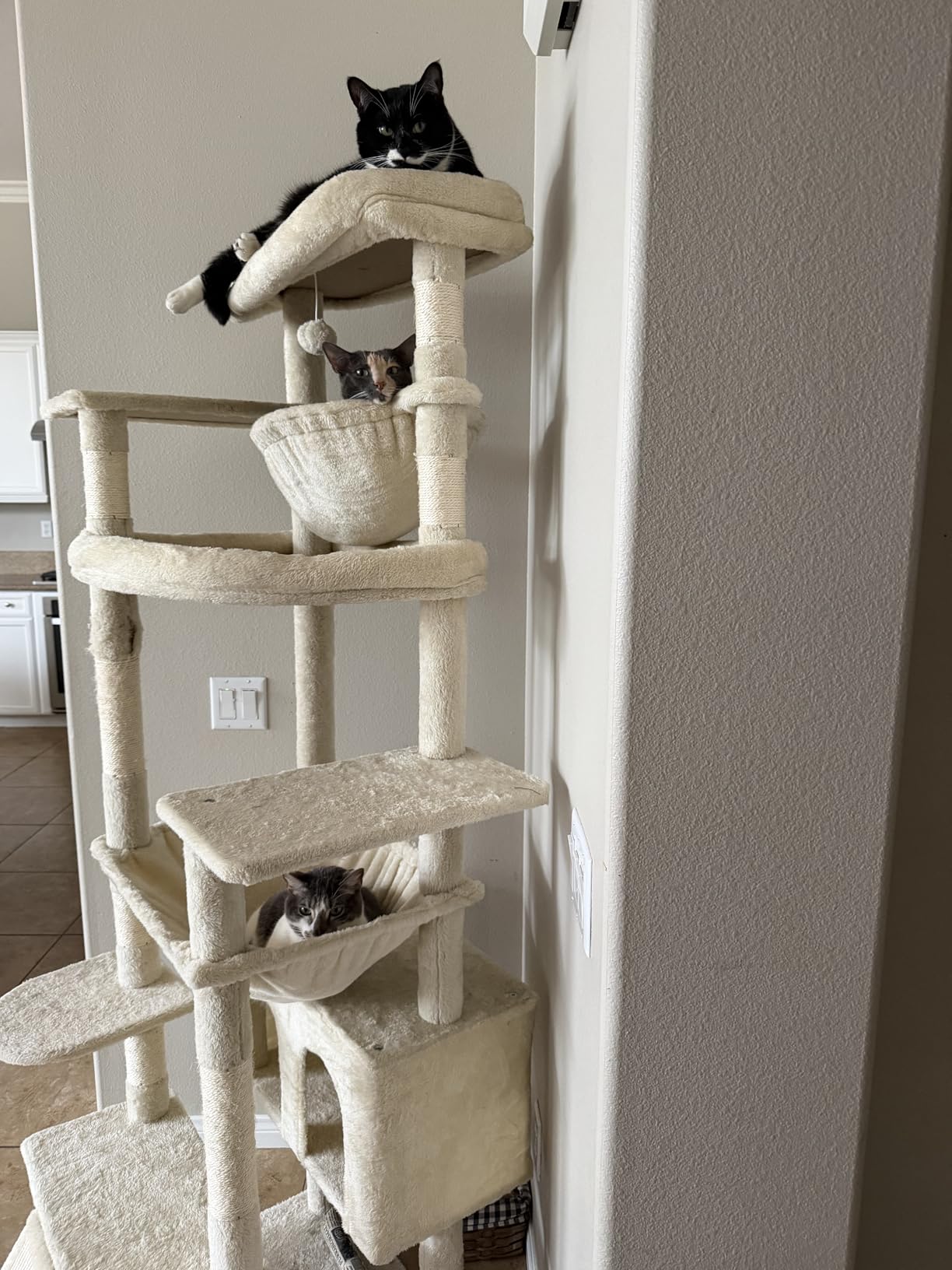 Heybly Cat Tree, 71-Inch-Tall Tower for Indoor Cats with 2 Perches HCT034G customer photo 1