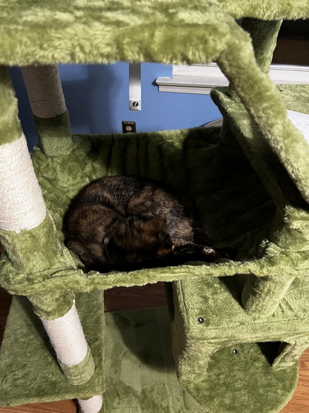 Heybly Cat Tree, 71-Inch-Tall Tower for Indoor Cats with 2 Perches HCT034G customer photo 2