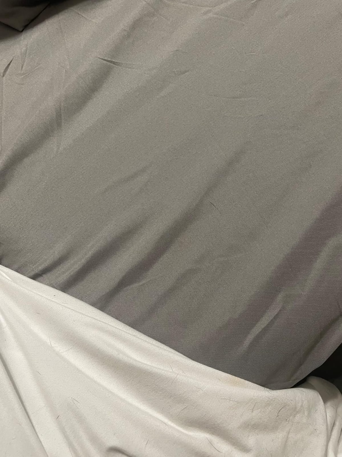 Shilucheng Tencel Sheets 4 Piece, 100% Eucalyptus Lyocell Sheets Set customer photo 1