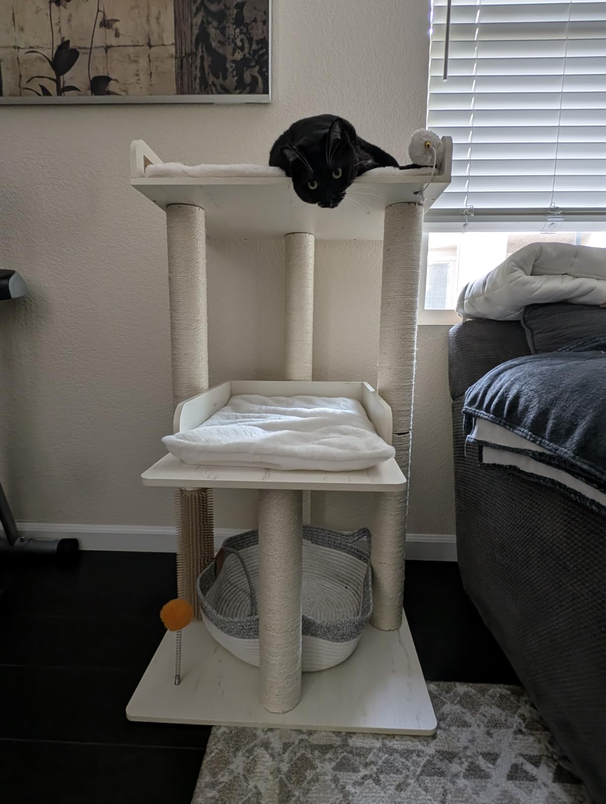 FourFurPets 43.7