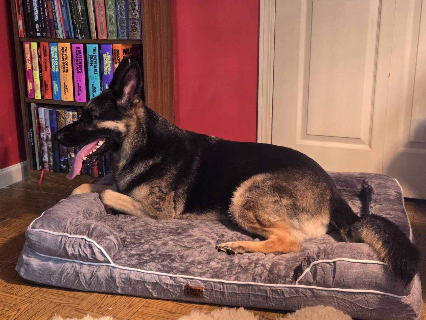 EHEYCIGA Orthopedic Small Dog Bed, Waterproof Memory Foam Washable Pet Beds customer photo 1