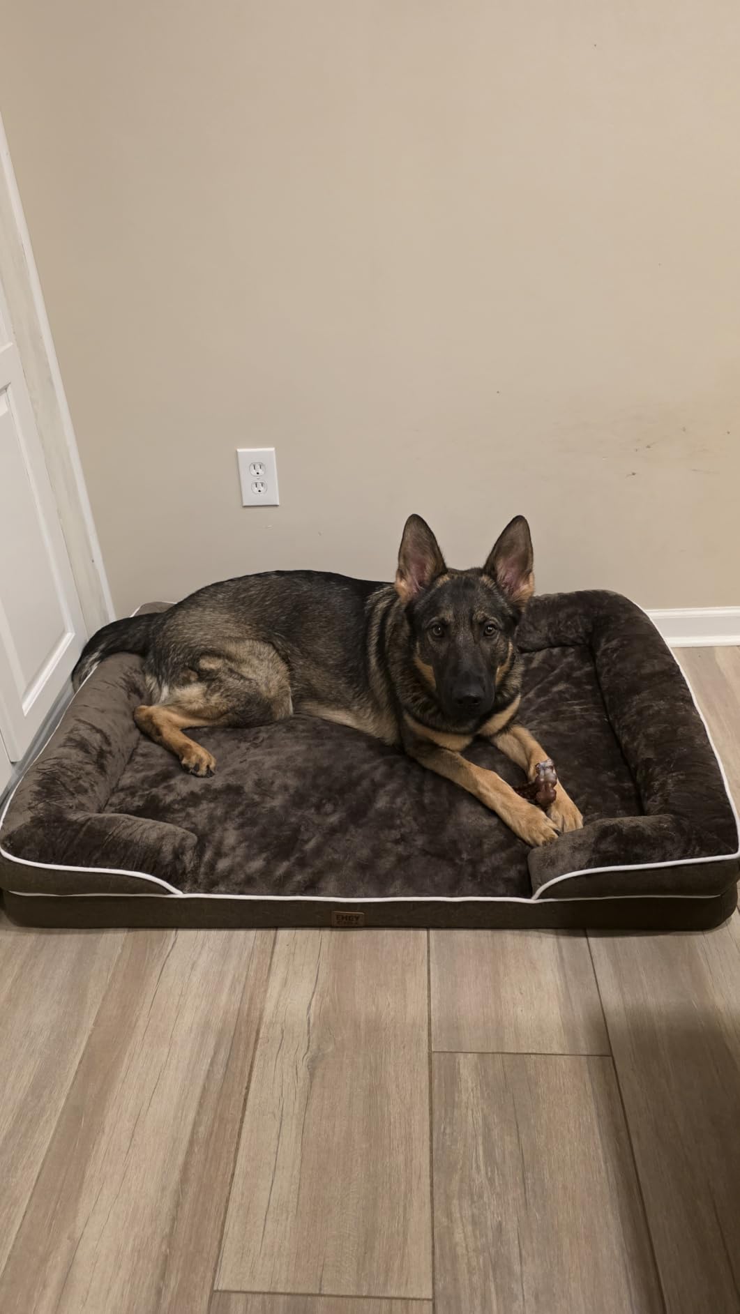 EHEYCIGA Orthopedic Small Dog Bed, Waterproof Memory Foam Washable Pet Beds customer photo 2