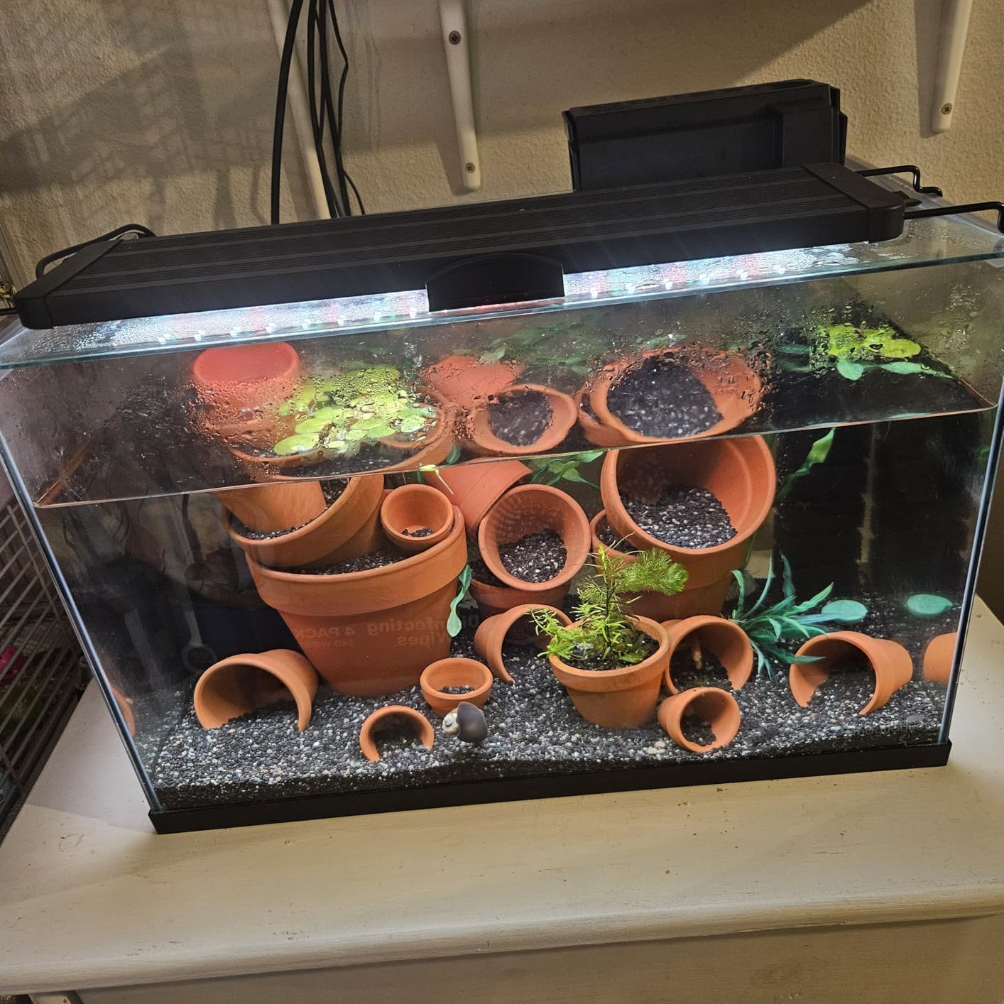 Pawfly 33W Planted Aquarium LED Light for 30