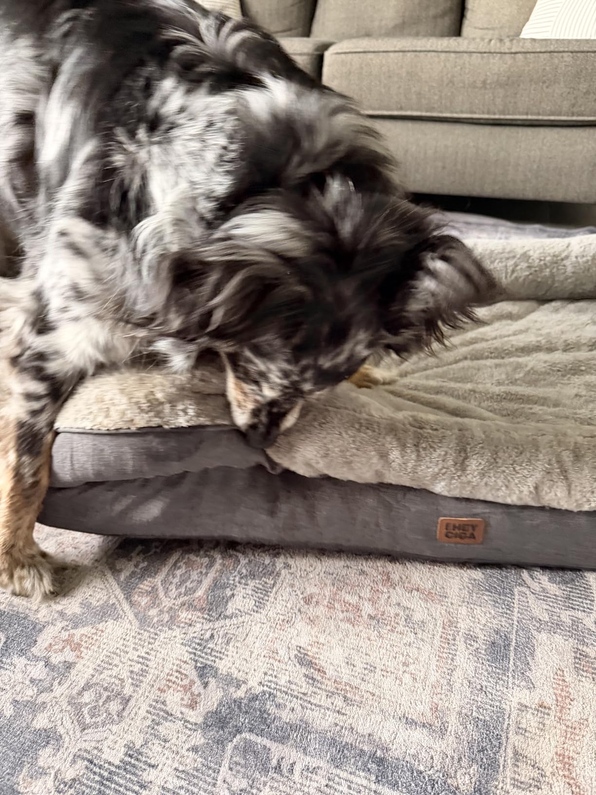 EHEYCIGA Orthopedic XL Dog Bed for Large Dog, Memory Foam Dog Couch, Grey customer photo 1