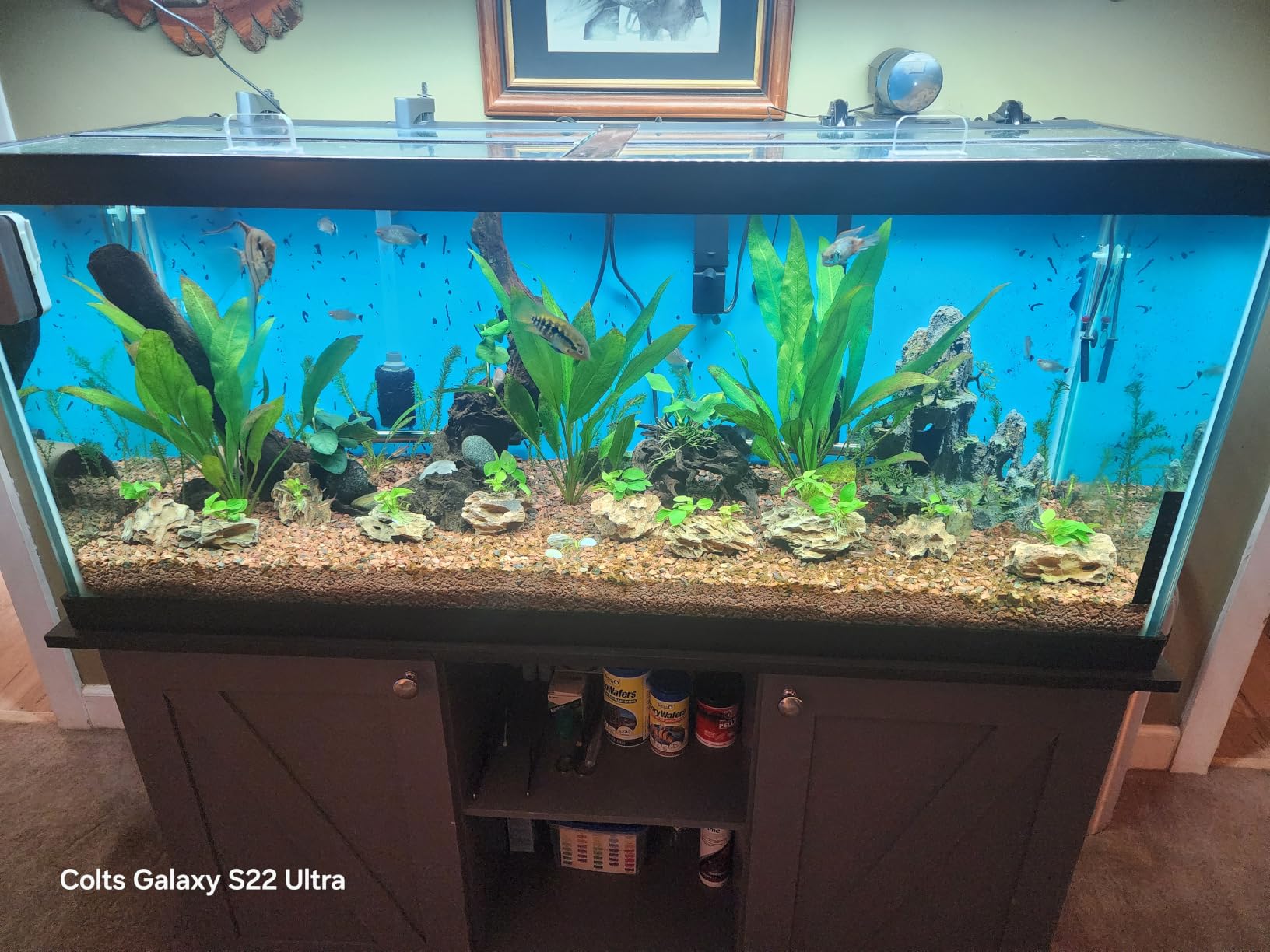 FZONE Aquarium Light 36W LED Plant Light for 24-31