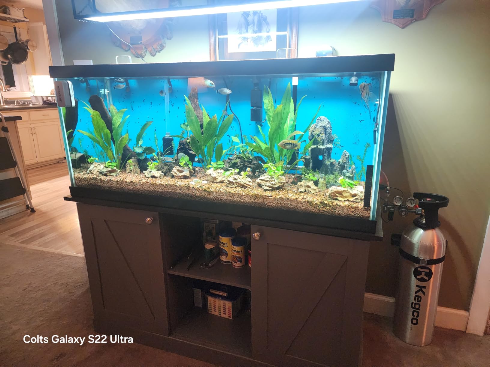 FZONE Aquarium Light 36W LED Plant Light for 24-31