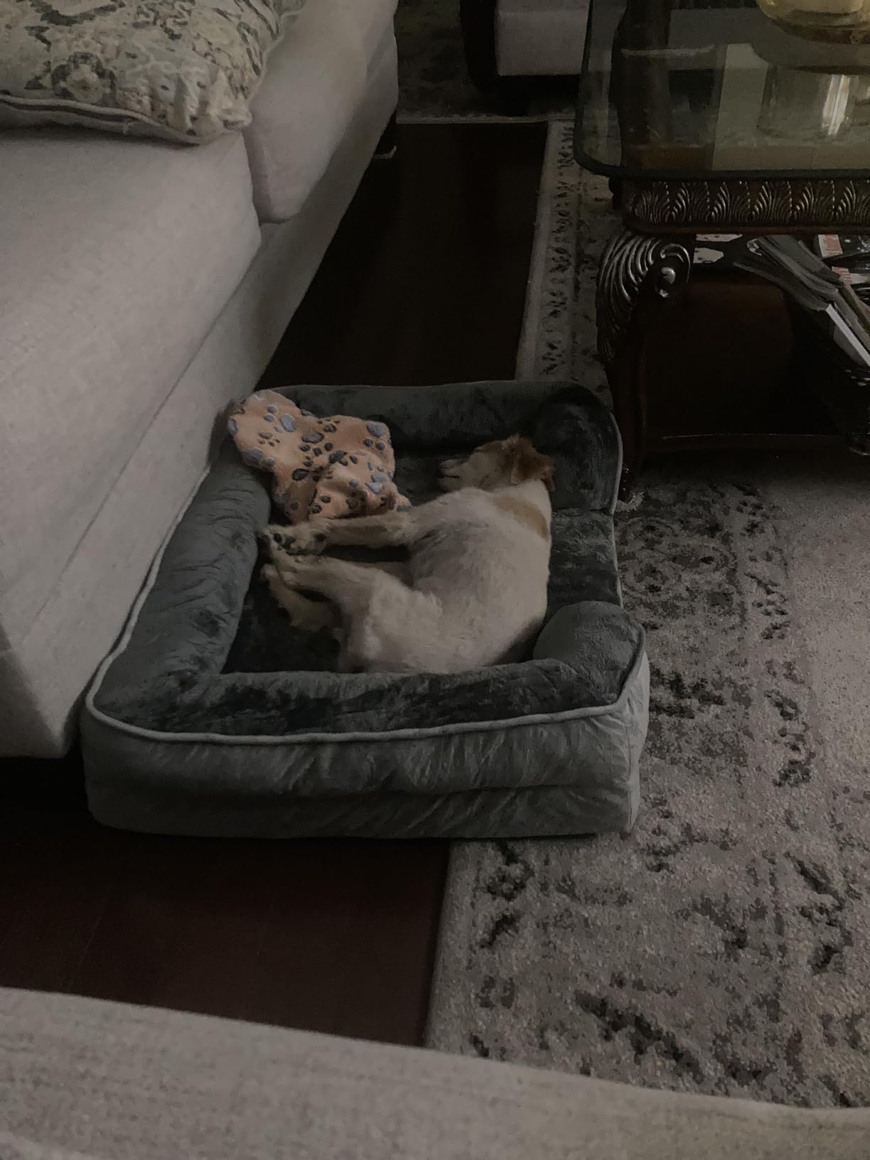 Spotted Play Orthopedic Dog Bed with Sides - Dog Sofa Beds for Medium Dogs, Supportive Foam Pet Couch Bed with Washable Removable Cover, Waterproof Lining and Non-Slip Bottom, Grey - M customer photo 2