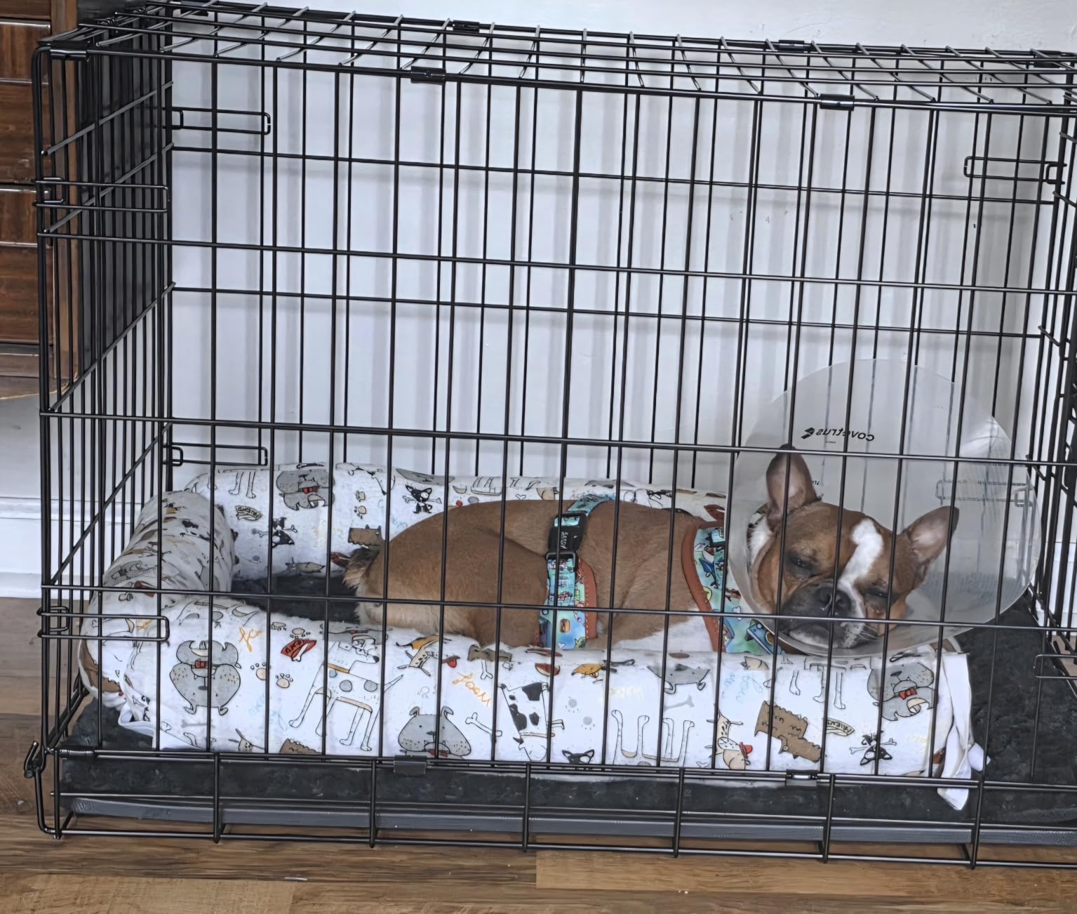Dog Bed Mat – Soft & Comfortable Dog Kennel Pad for Crate – Durable Crate Bed & Mat for Dogs & Cats – Ideal for Crate, Kennel, and Home Use customer photo 1