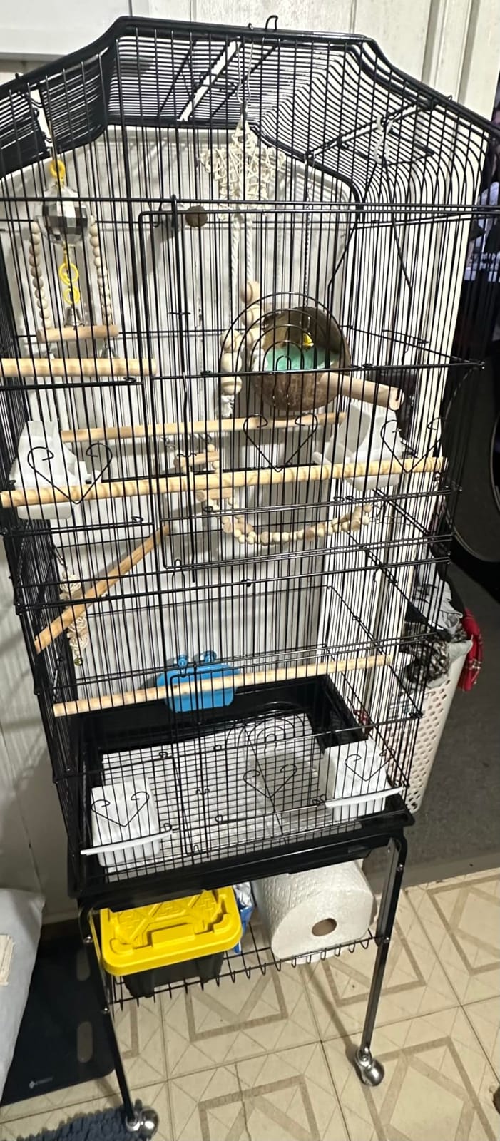 VEVOR 64-inch Open Top Large Parrot Bird Cage with Detachable Rolling Stand for Parakeets Finches Canaries Lovebirds Cockatiels Budgies Small Quaker Conures Flight Birdcage with Swing and Perch customer photo 2