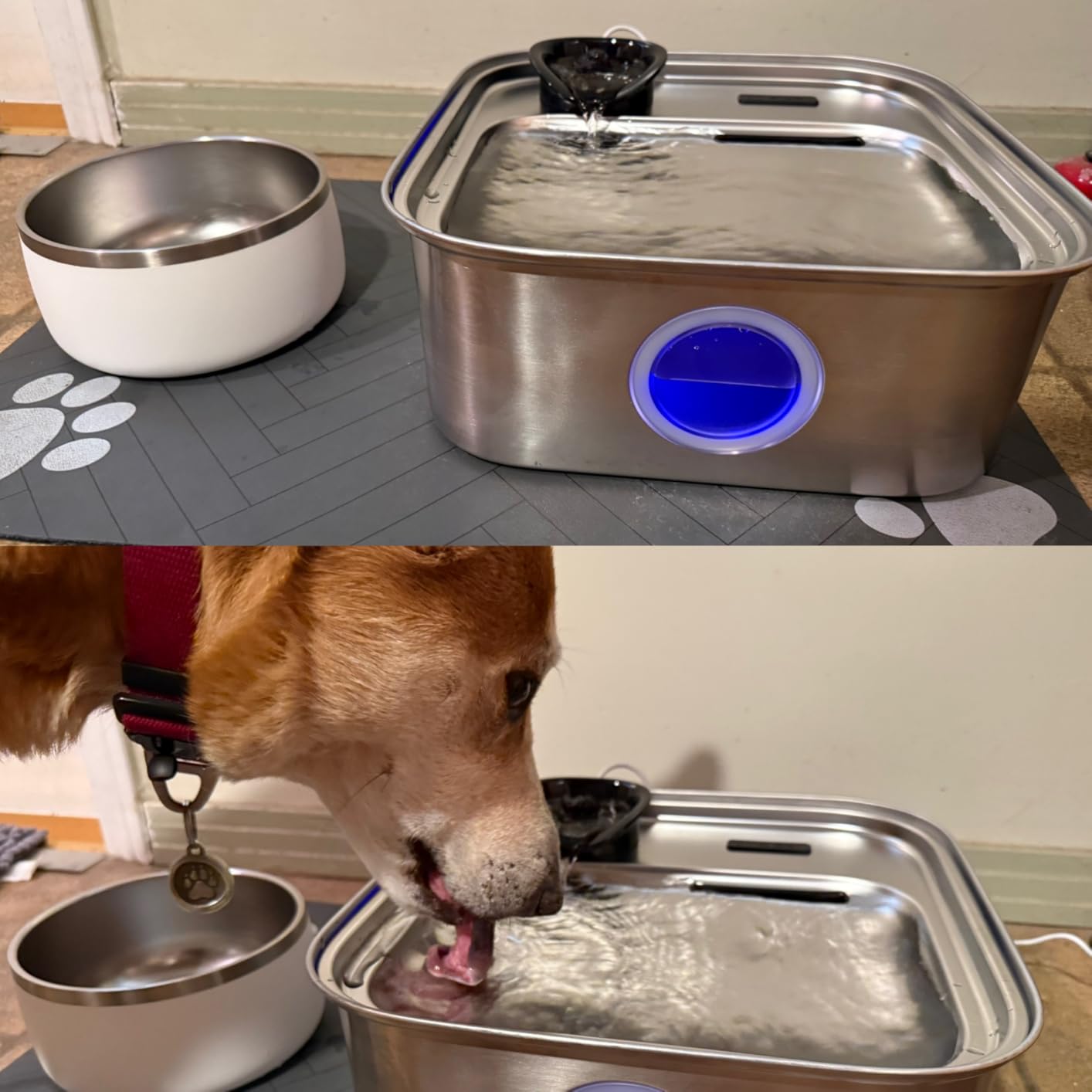 oneisall 10L/2.6Gal Dog Water Fountain for Large Dogs (with 2 Filters) customer photo 2