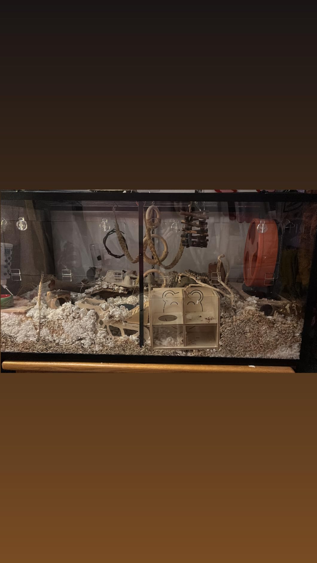 VEVOR Hamster Cage, 360°Viewing Transparent Hamster Habitats, Small Animal Cage, 29.5 x 17.3 x 24 in, Ventilated Pet Mouse Cages with Water Bottle, Portable Hamster House for Rats, Guinea Pigs customer photo 2