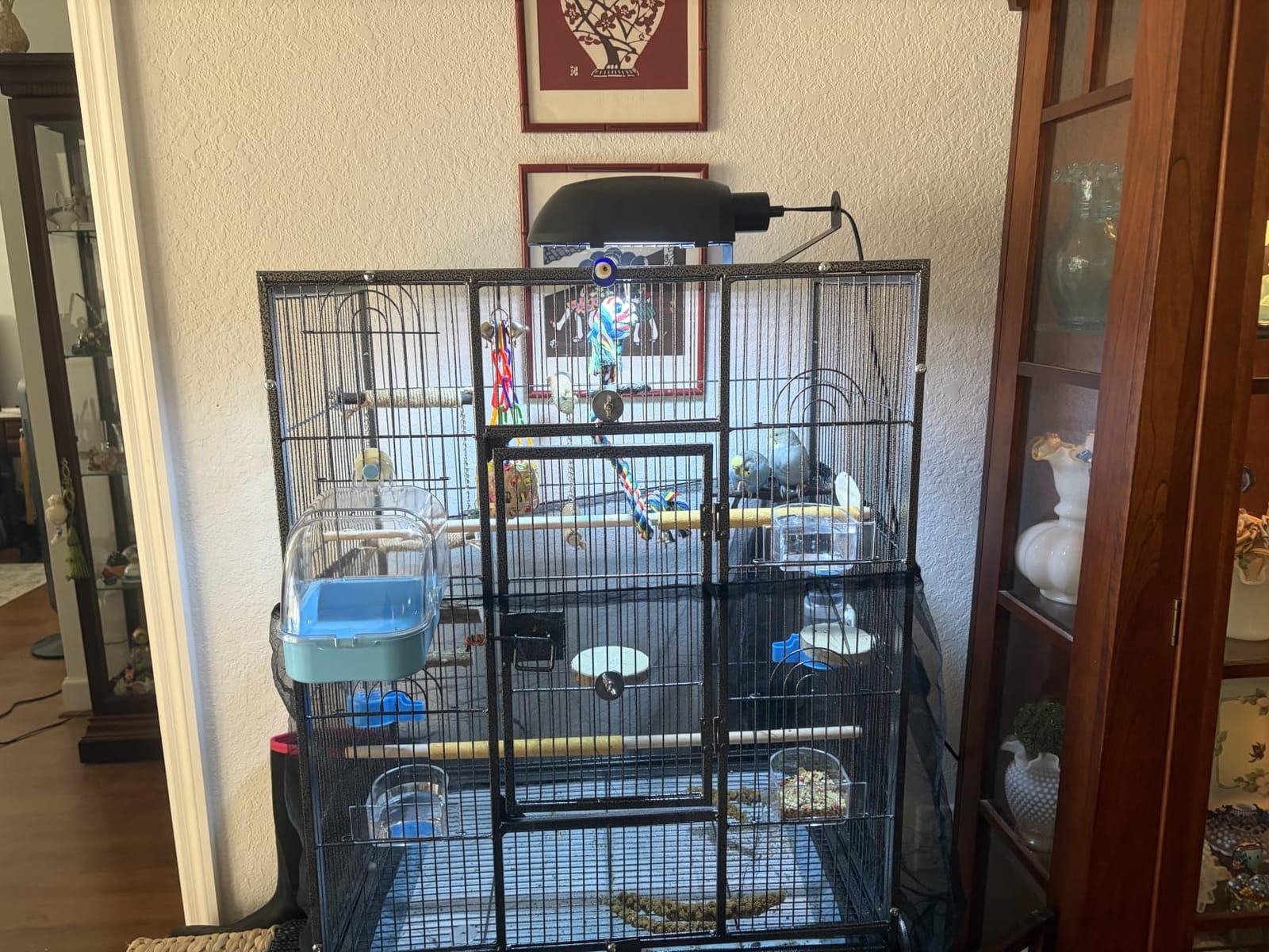 VINGLI 53-inch Bird Cage with Wheels, Durable Wrought Iron Parakeet Cage with Slide Out Tray, Black Bird Cages for Parakeets/Lovebird/Cockatiels/Budgies and Other Small/Medium Birds (Black, 53 inch) customer photo 1