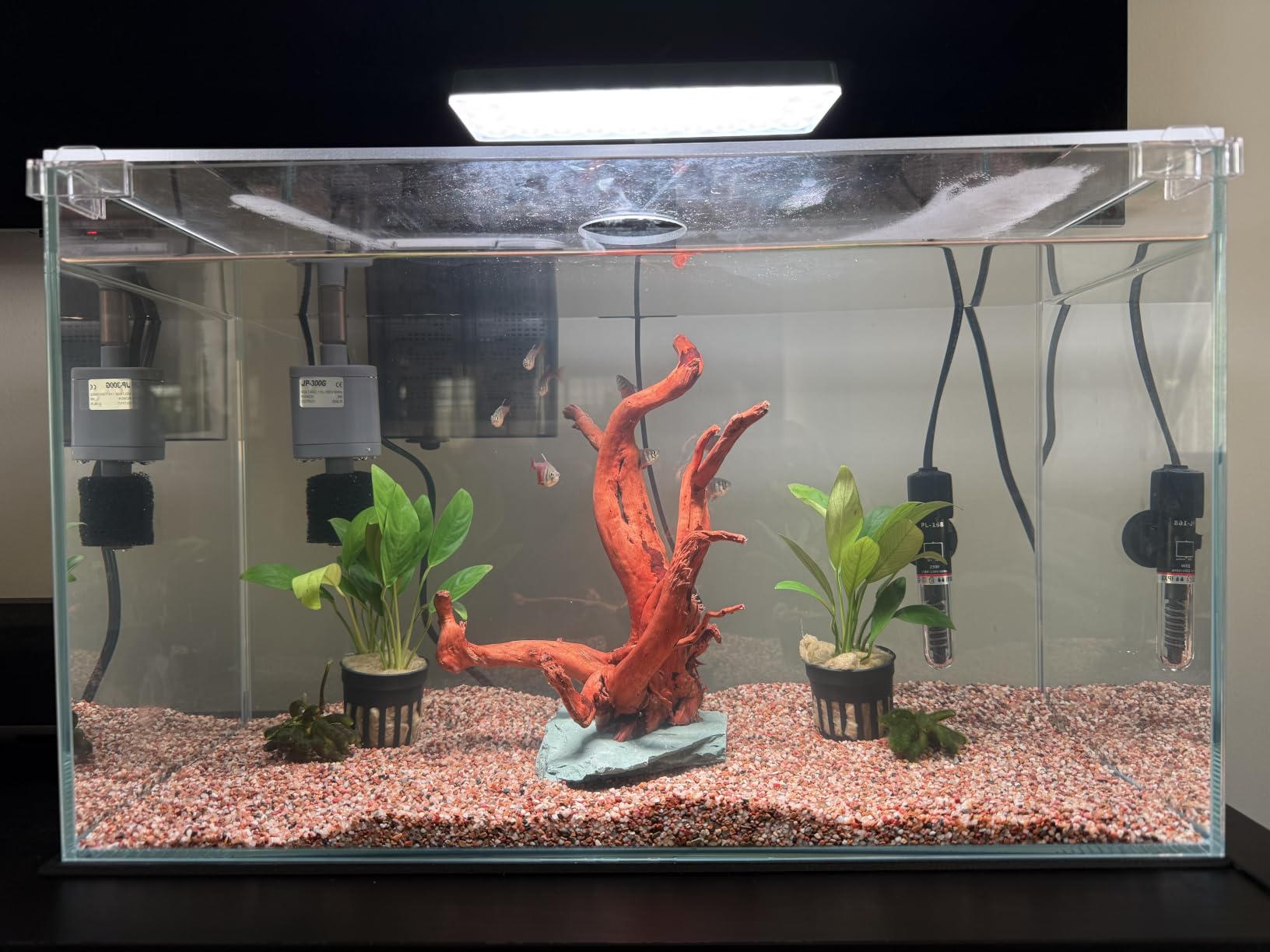 Vimvins 3 Gallon Glass Small Fish Tank, Betta Fish Tank Starter Kit with Filter, Lights,Lid. customer photo 1